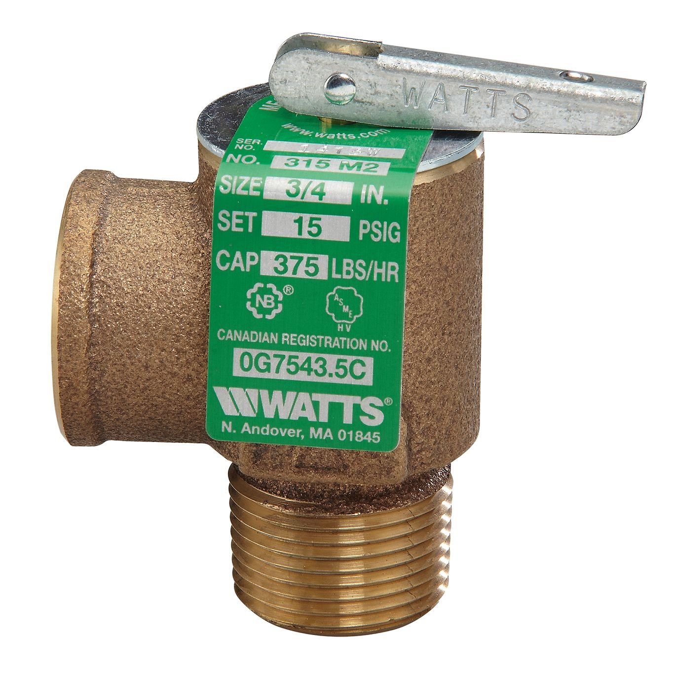 Watts® Series 315 Steam Safety Valves | Watts® | Pressure Relief Valves ...